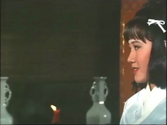 武当二十八奇剧照的剧照