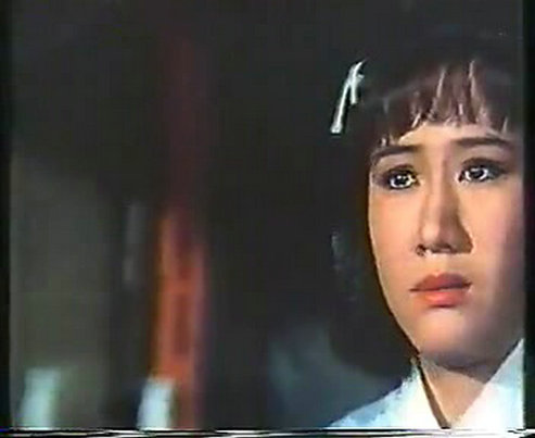 武当二十八奇剧照的剧照