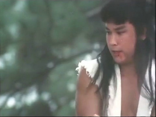 武当二十八奇剧照的剧照