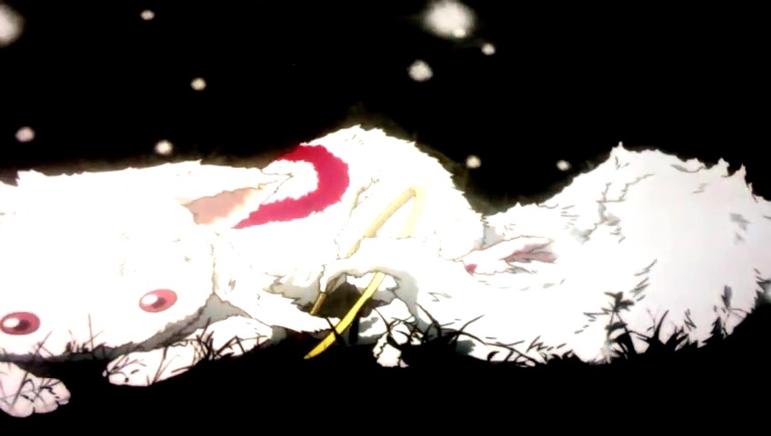 剧场版魔法少女小圆 新篇 叛逆的故事剧照的剧照