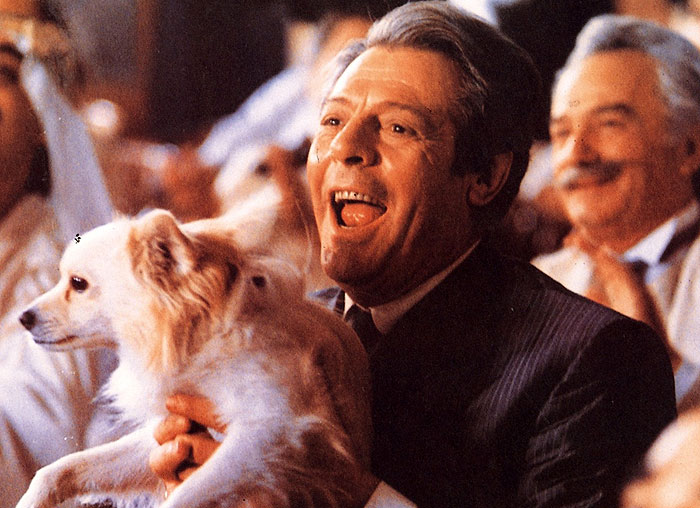 黑眼睛剧照的剧照