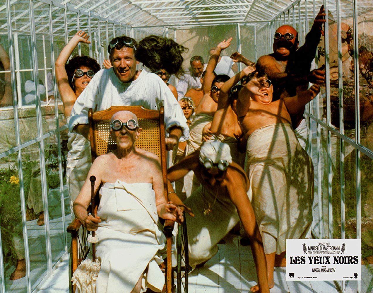 黑眼睛剧照的剧照