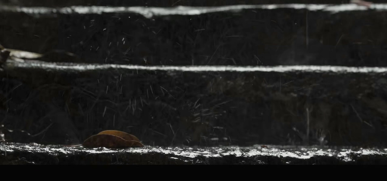 那个我最亲爱的陌生人剧照的剧照