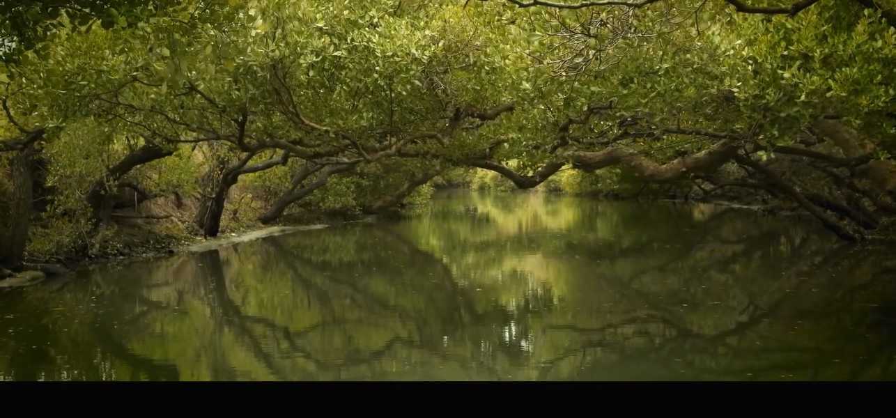 那个我最亲爱的陌生人剧照的剧照