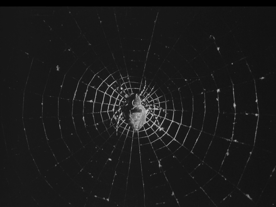 福尔摩斯剧照的剧照