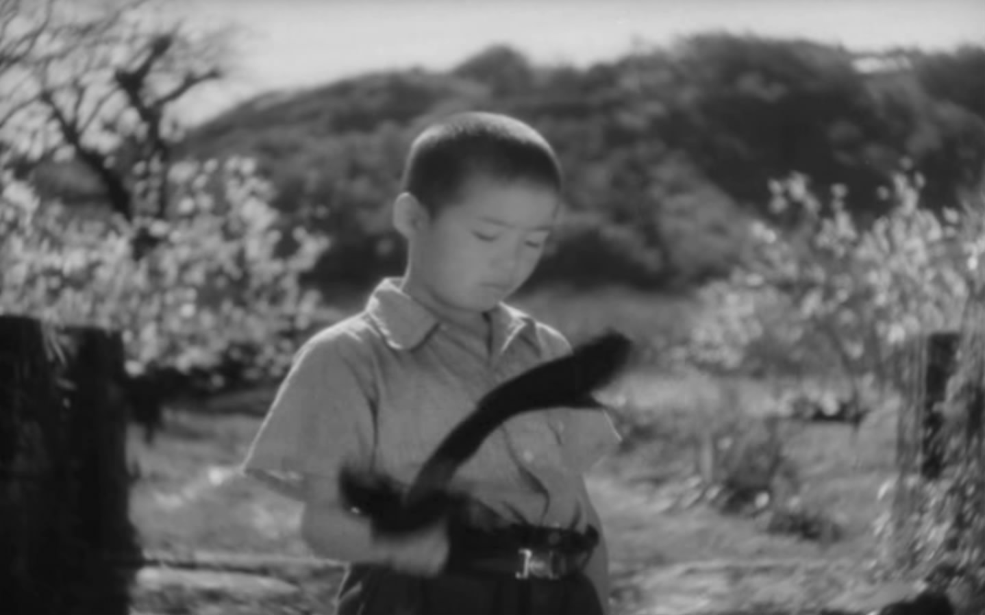 童年的四季 春夏之卷剧照的剧照