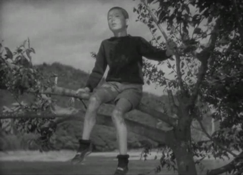 童年的四季 春夏之卷剧照的剧照