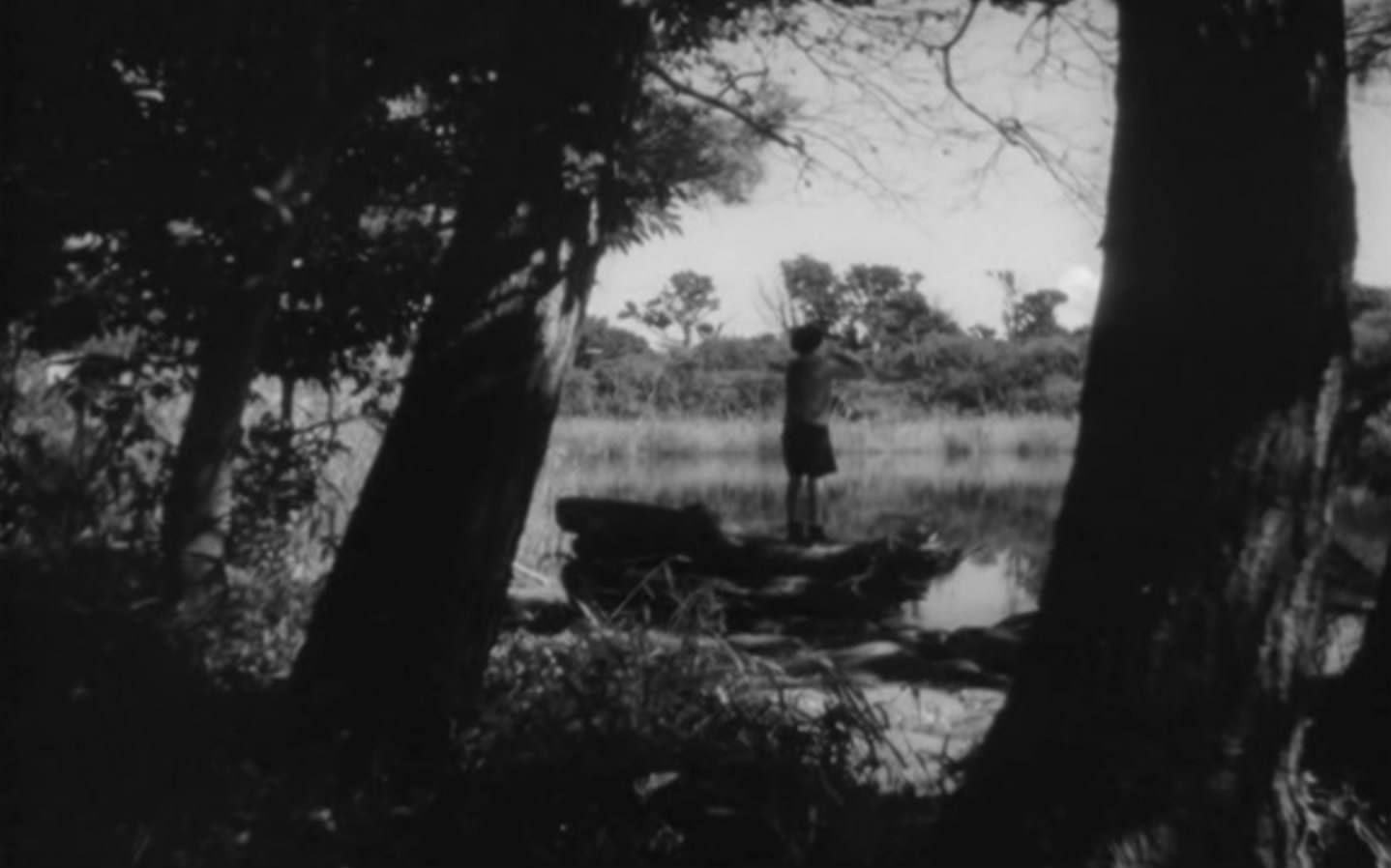 童年的四季 春夏之卷剧照的剧照