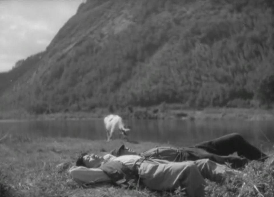 童年的四季 春夏之卷剧照的剧照