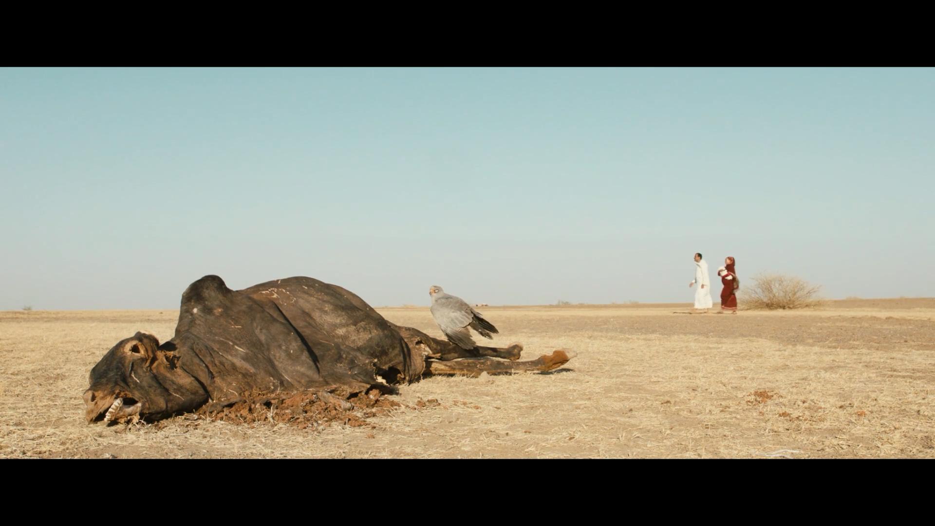 你会在20岁时死去剧照的剧照