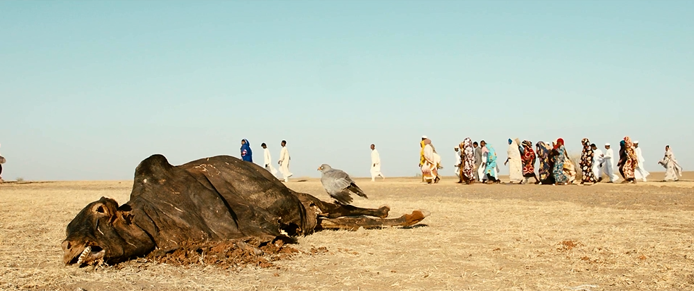 你会在20岁时死去剧照的剧照