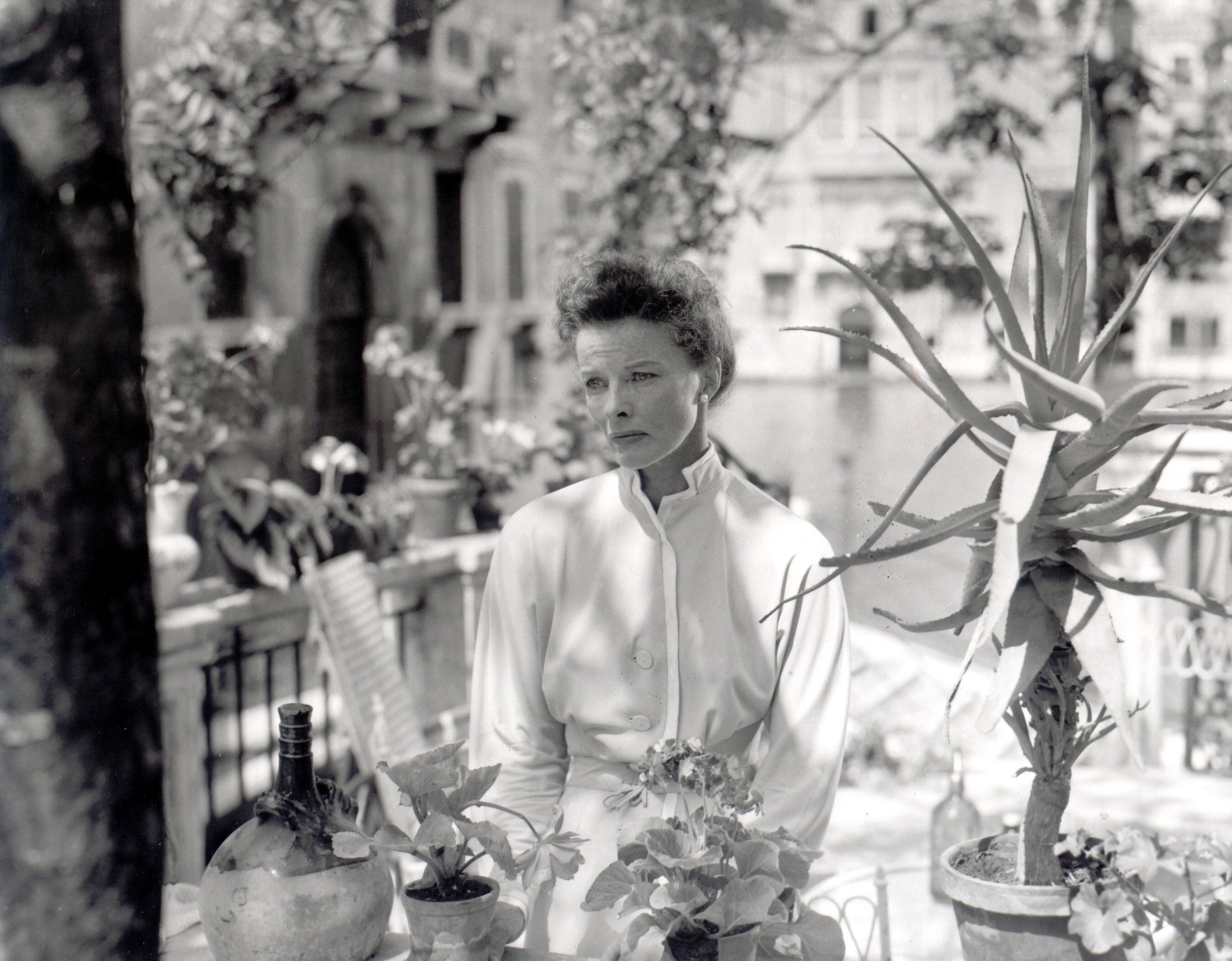 艳阳天剧照的剧照