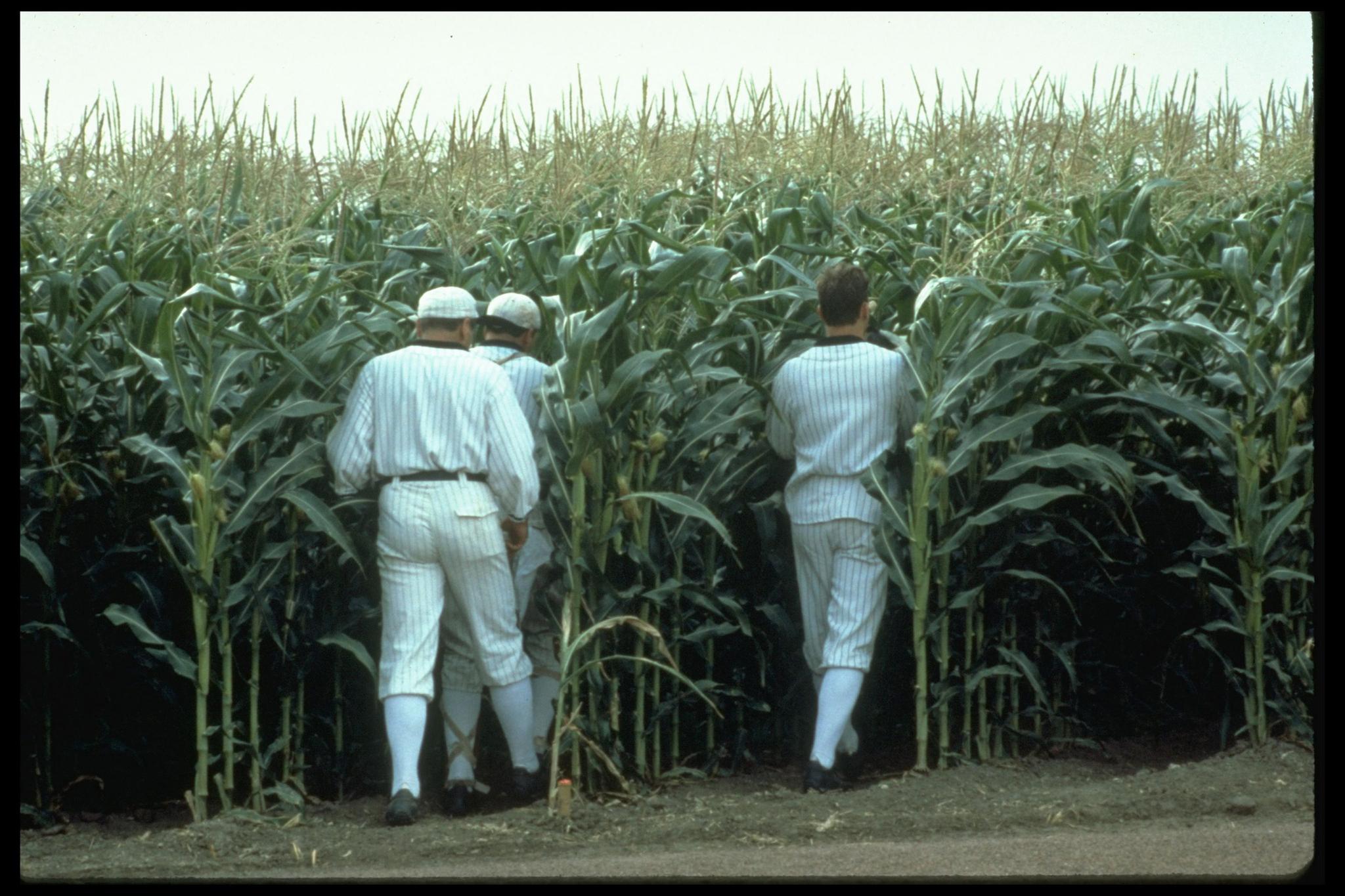 梦幻之地剧照的剧照