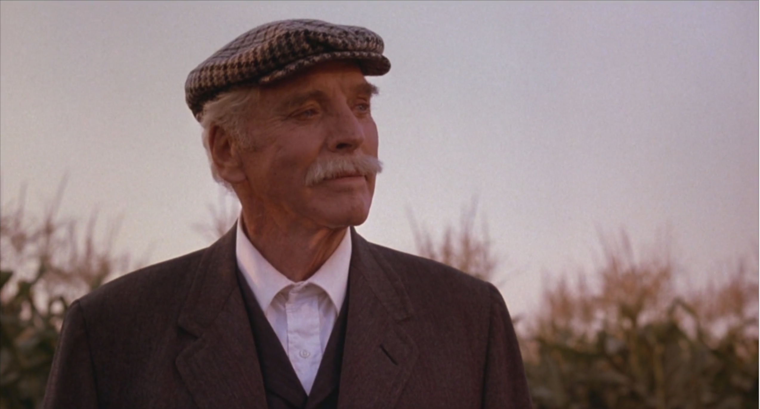 梦幻之地剧照的剧照