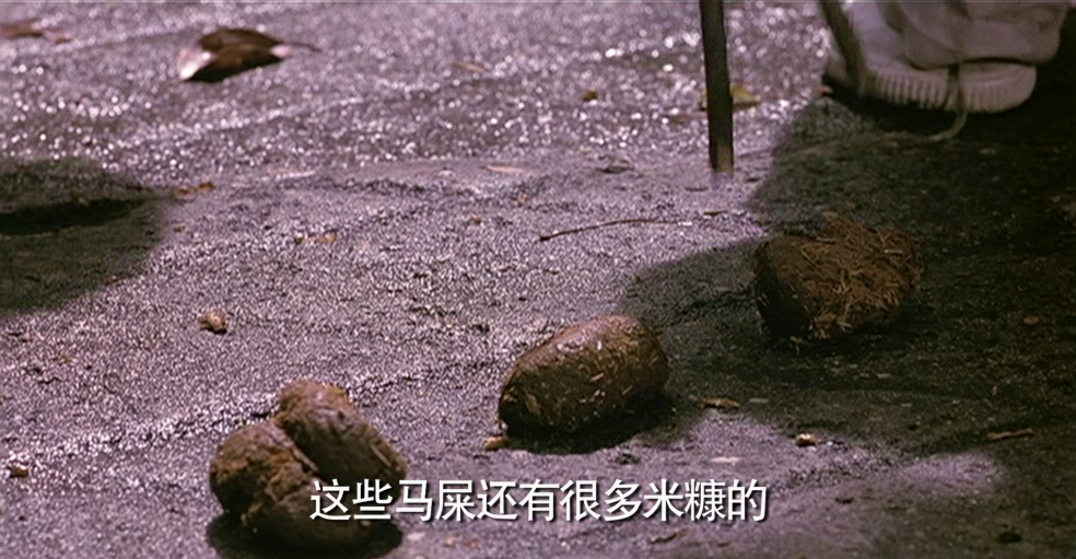 等待黎明剧照的剧照