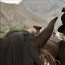 北国淘金梦剧照