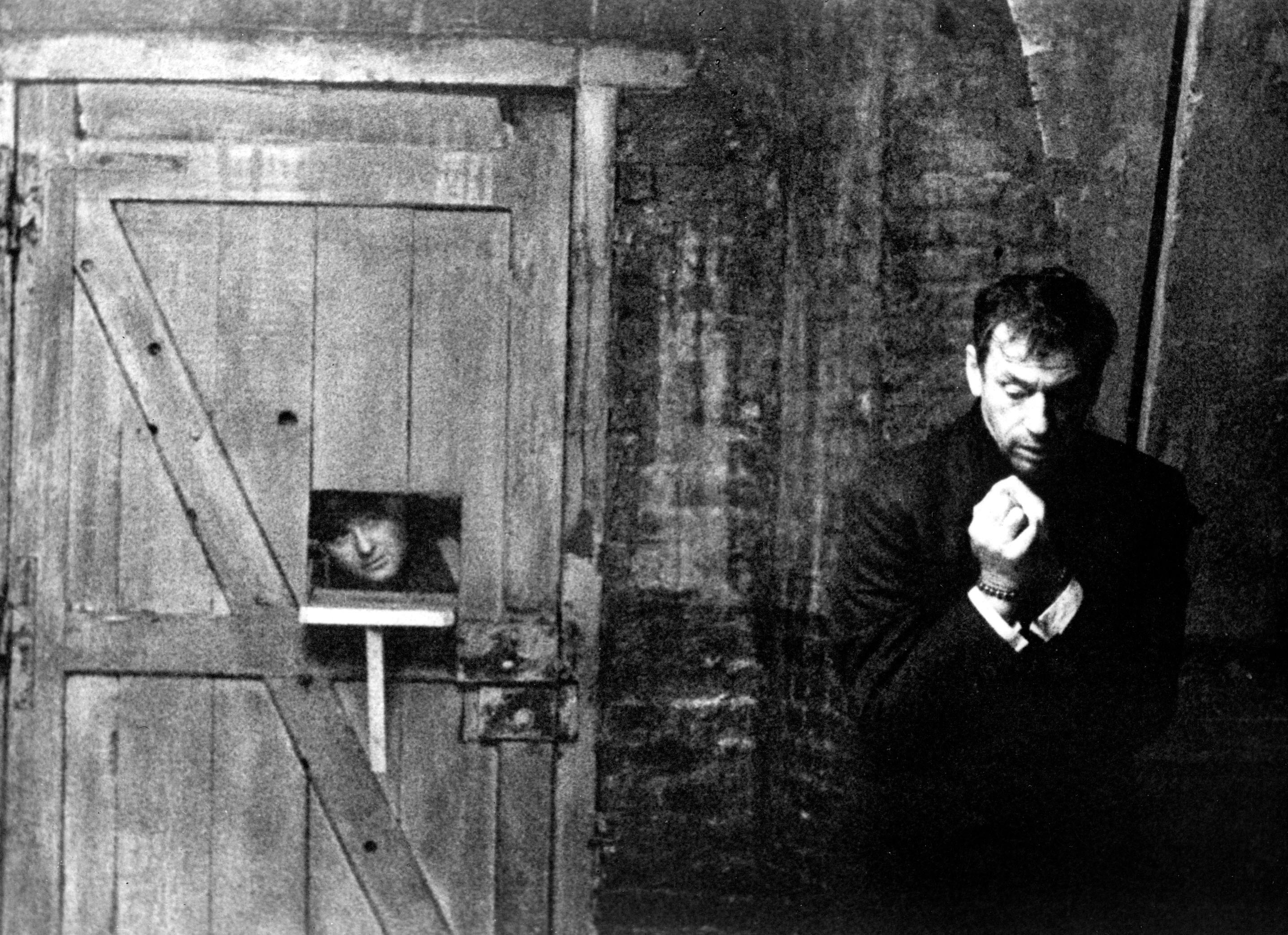 大迫供剧照的剧照