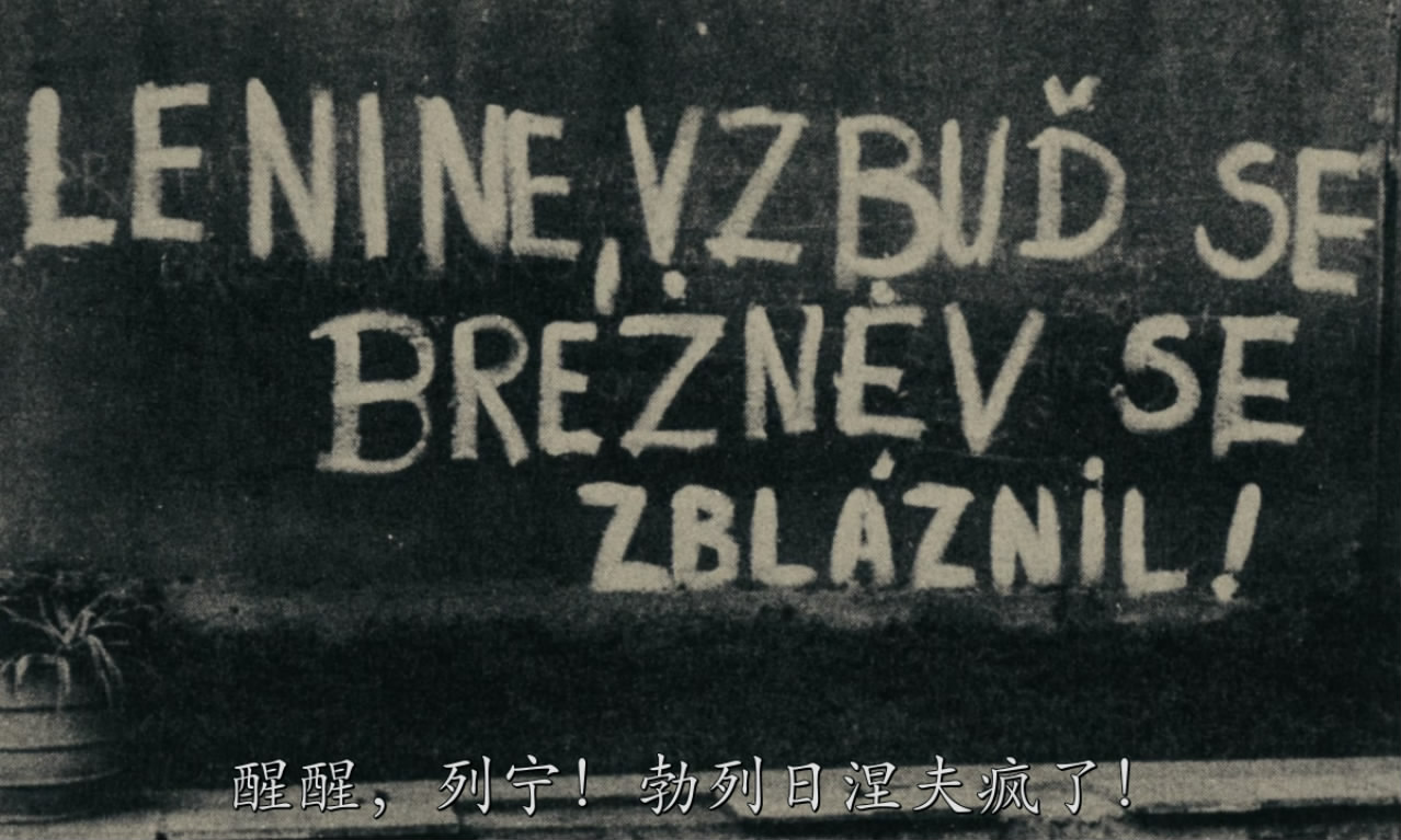 大迫供剧照的剧照