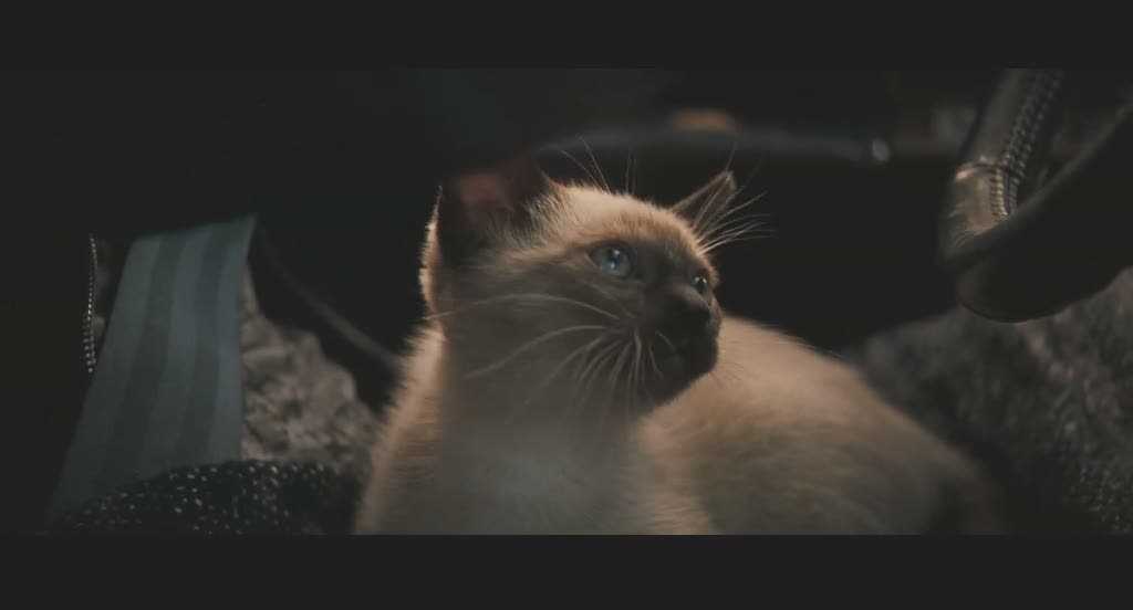 阳光清洗剧照的剧照