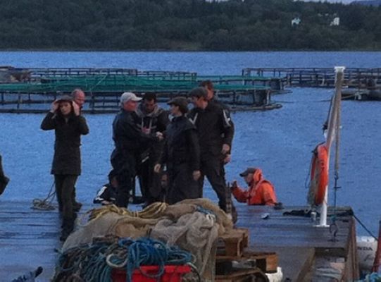 到也门钓鲑鱼剧照的剧照