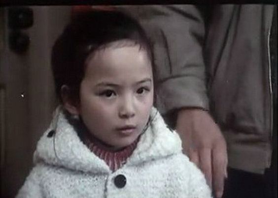 鸽子迷的奇遇剧照的剧照