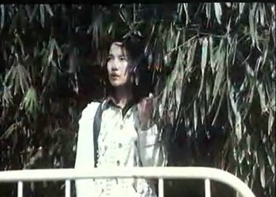 鸽子迷的奇遇剧照的剧照