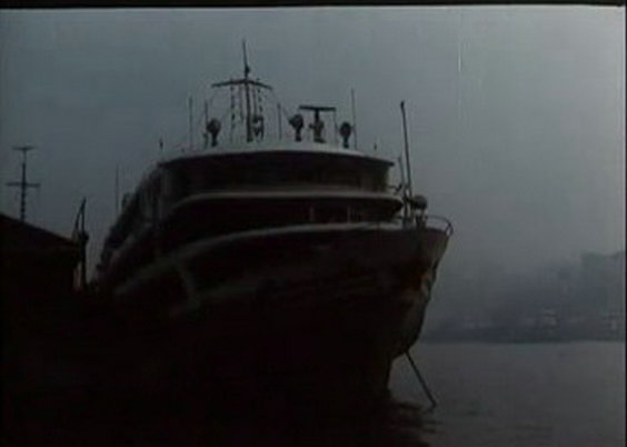 鸽子迷的奇遇剧照的剧照