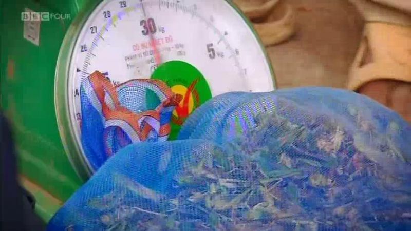 吃昆虫能拯救世界吗？剧照的剧照