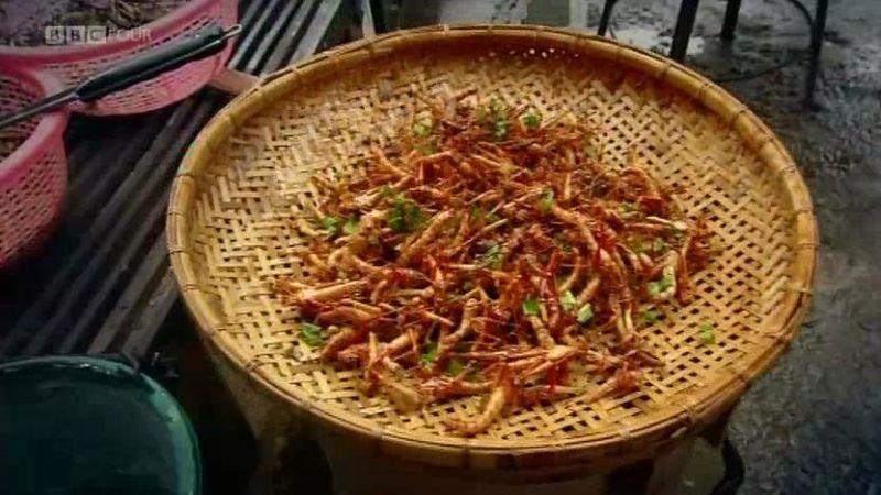 吃昆虫能拯救世界吗？剧照的剧照