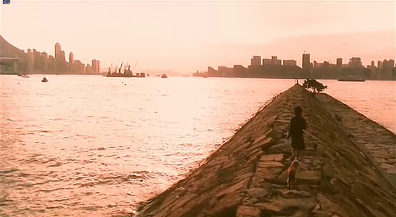 常在我心剧照的剧照