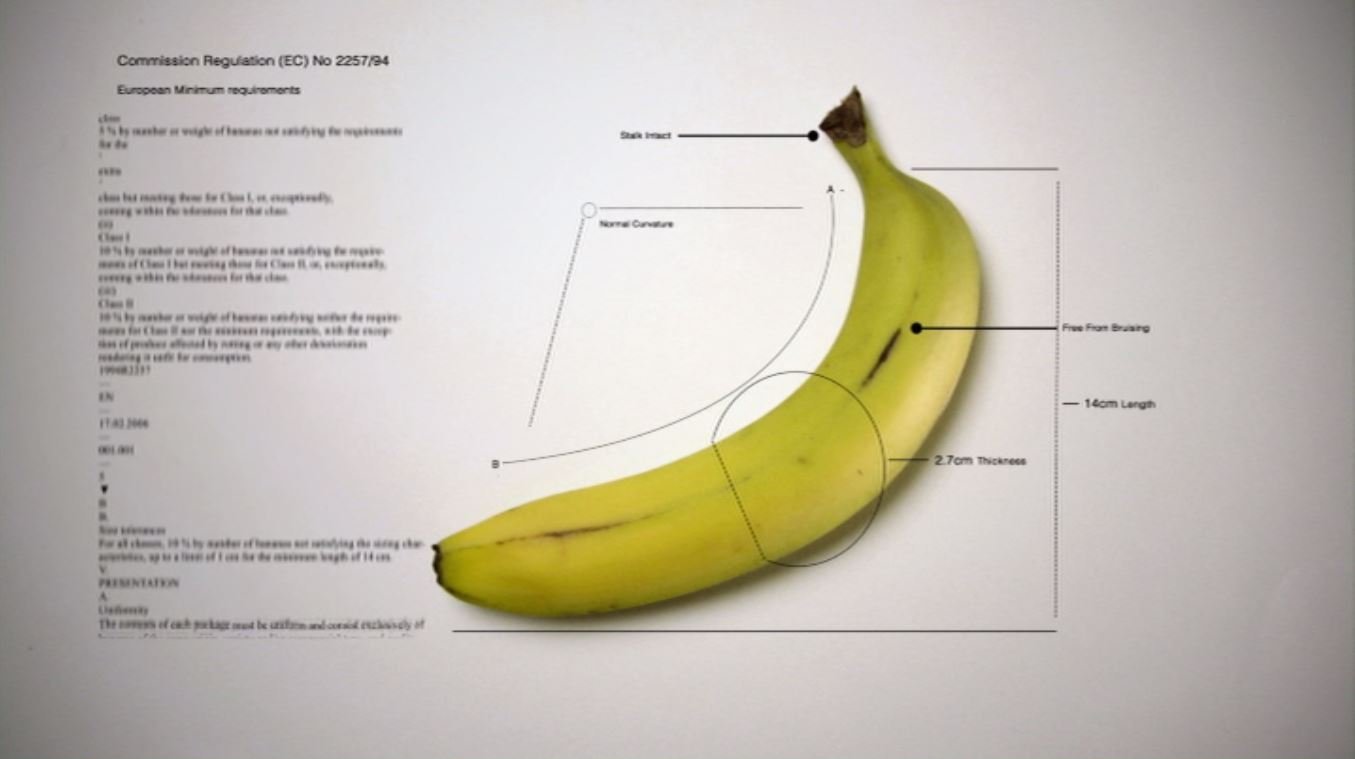 吃掉它：一个食物浪费的故事剧照的剧照