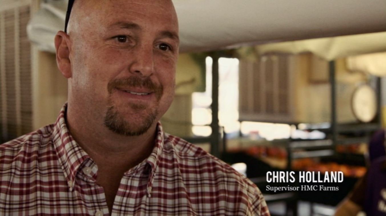 吃掉它：一个食物浪费的故事剧照的剧照