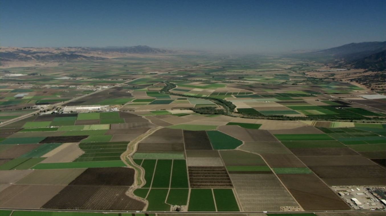 吃掉它：一个食物浪费的故事剧照的剧照