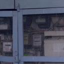 返乡的旅程剧照