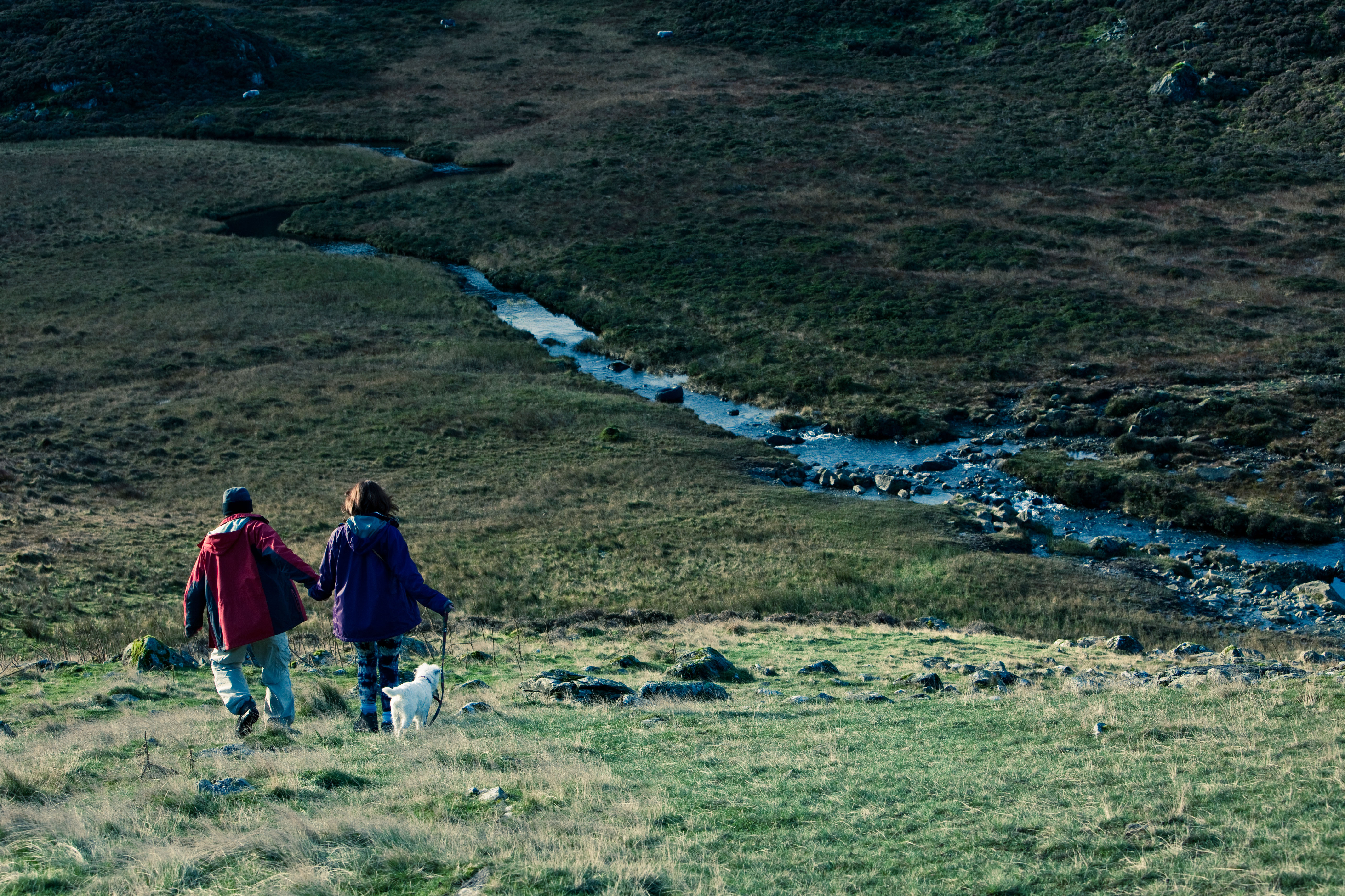 观光客剧照的剧照