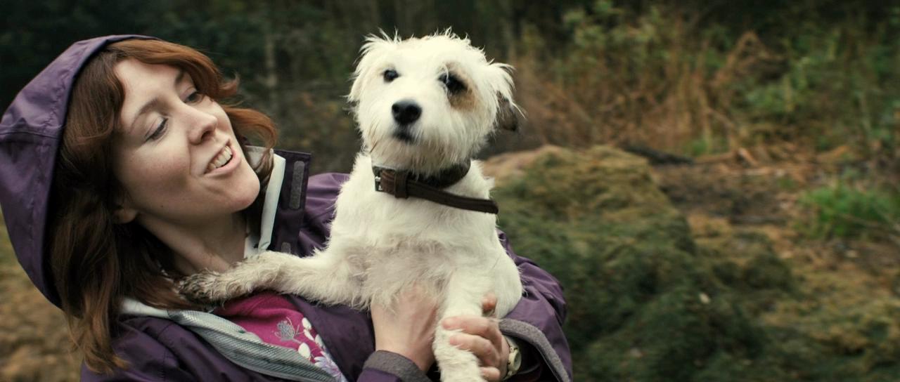 观光客剧照的剧照