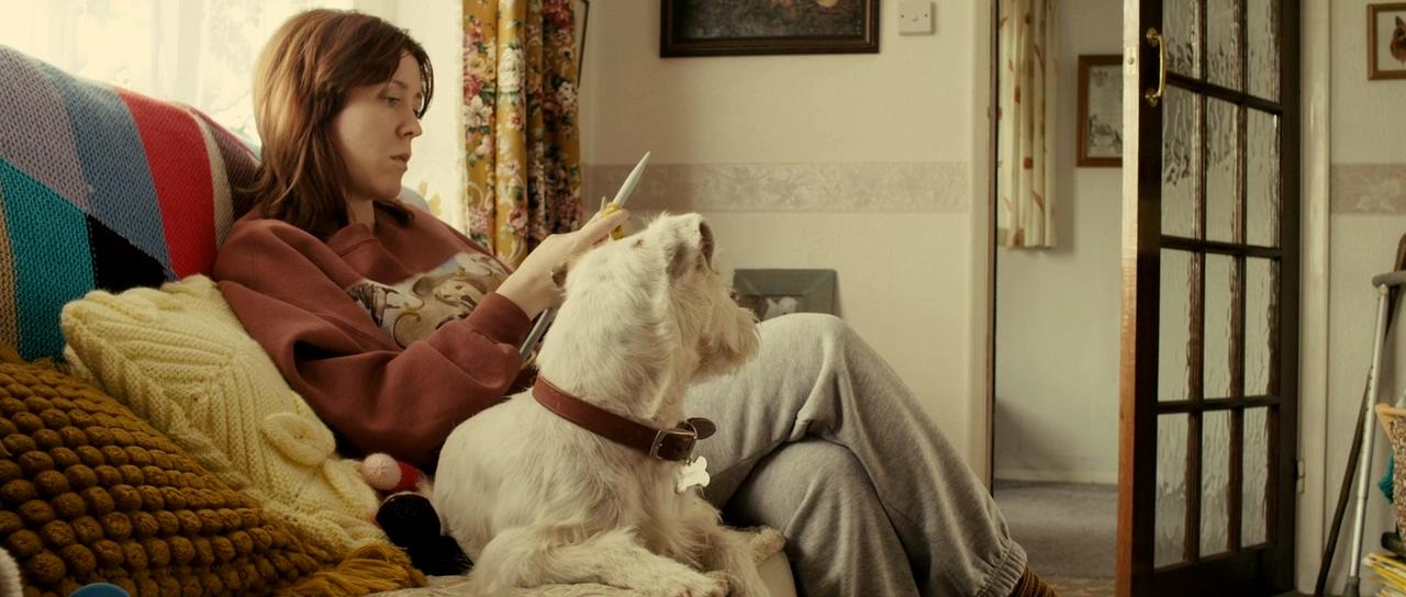 观光客剧照的剧照