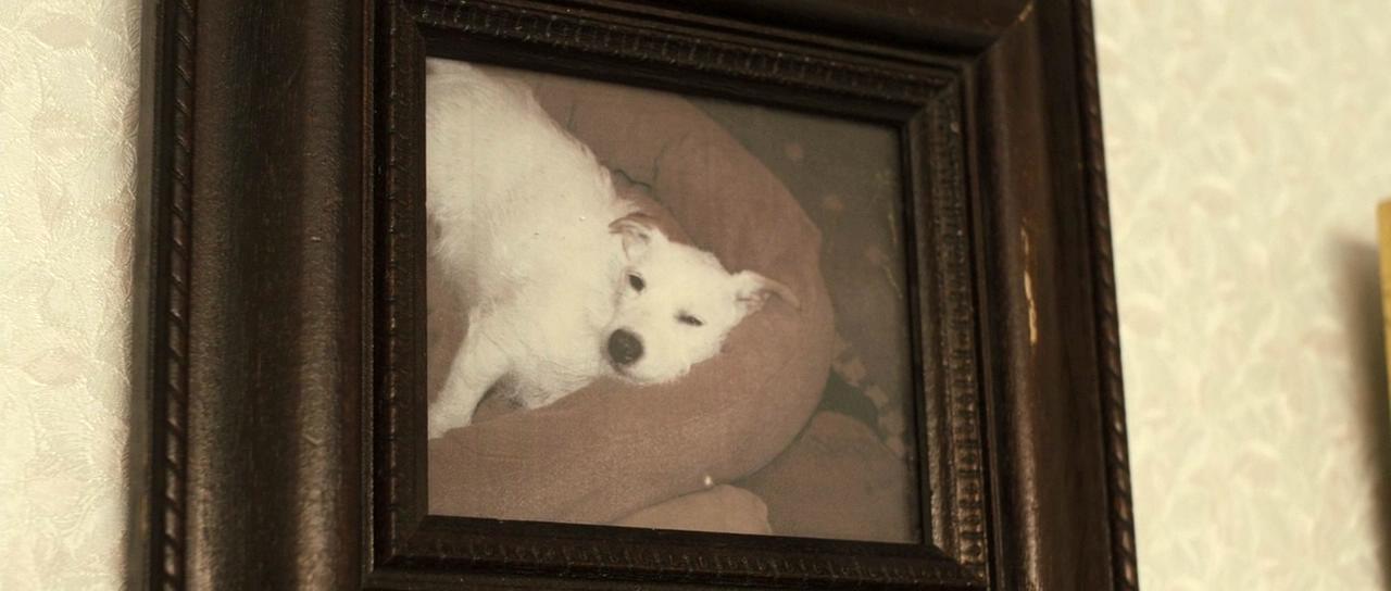 观光客剧照的剧照