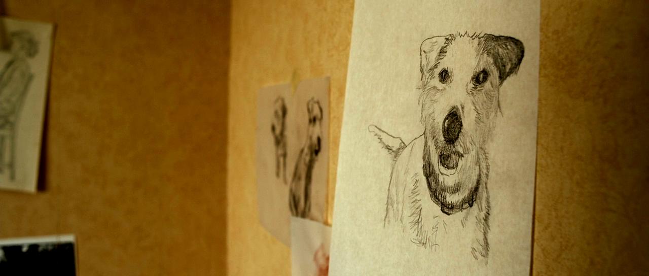 观光客剧照的剧照