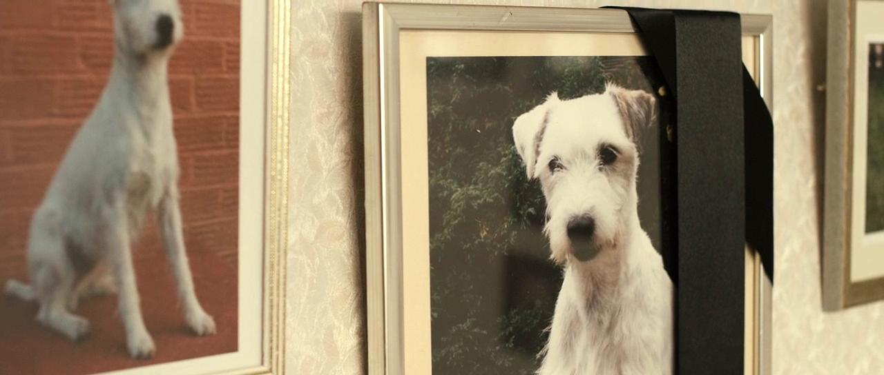 观光客剧照的剧照