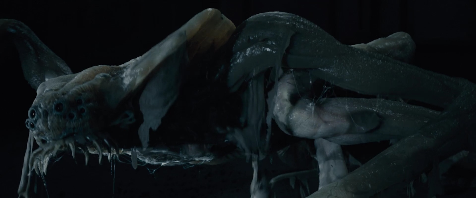 卫星剧照的剧照