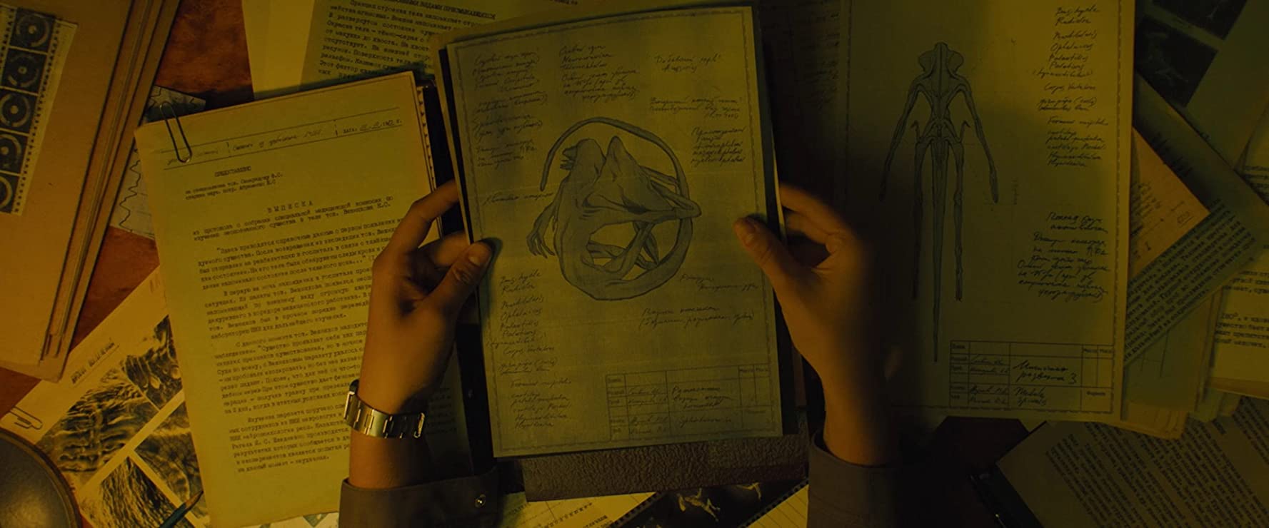 卫星剧照的剧照