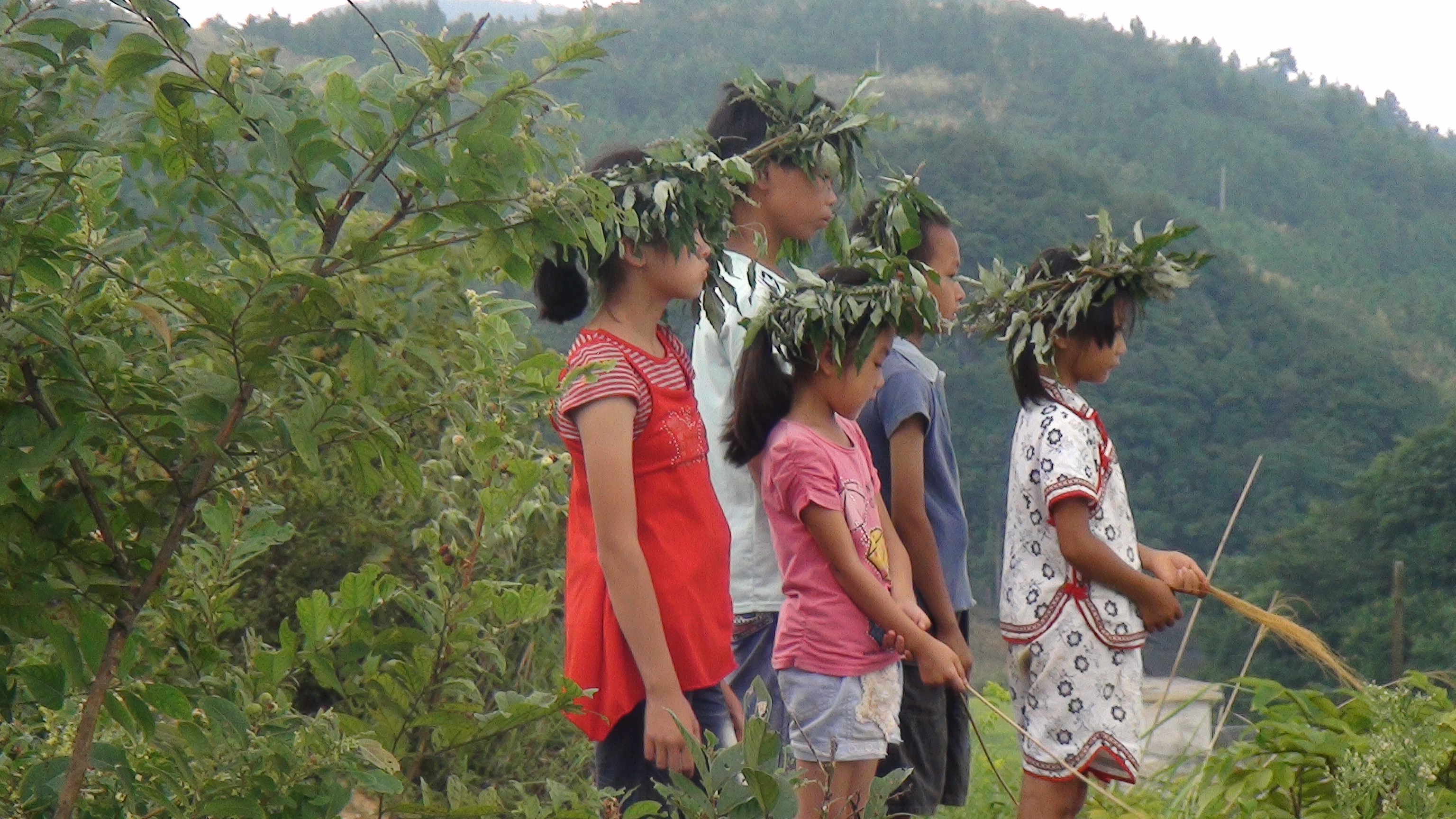 矮婆剧照的剧照