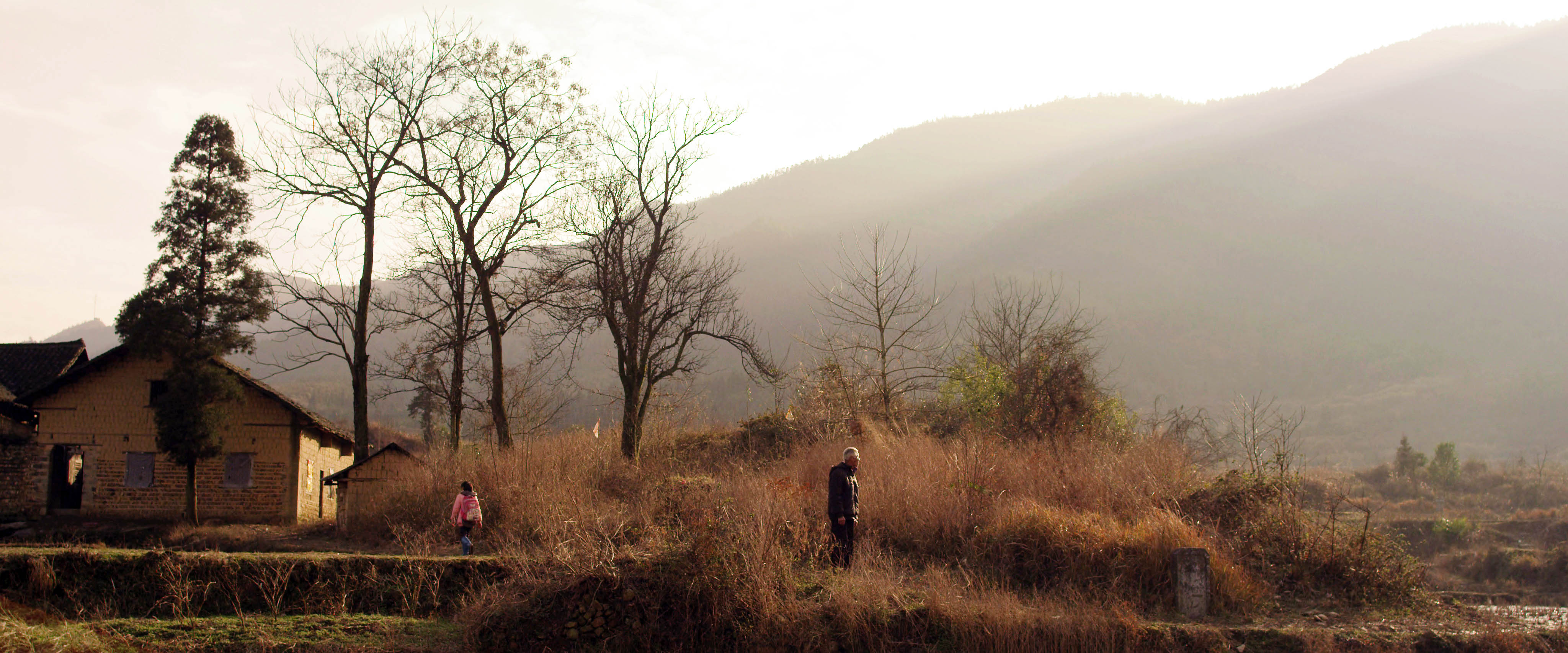 矮婆剧照的剧照