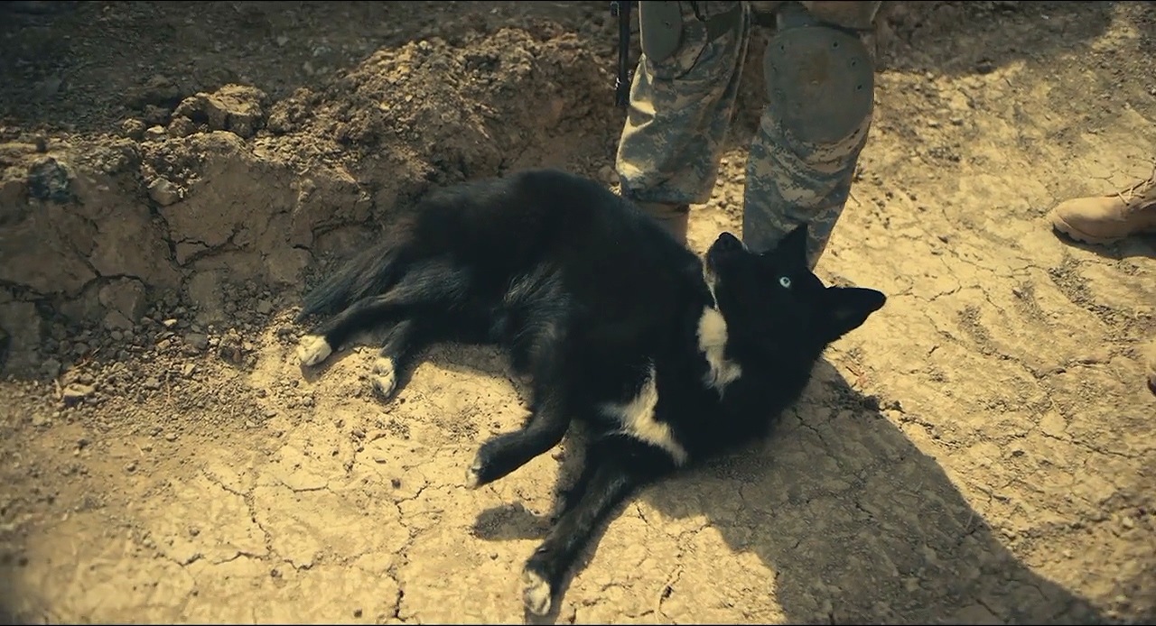 前哨剧照的剧照