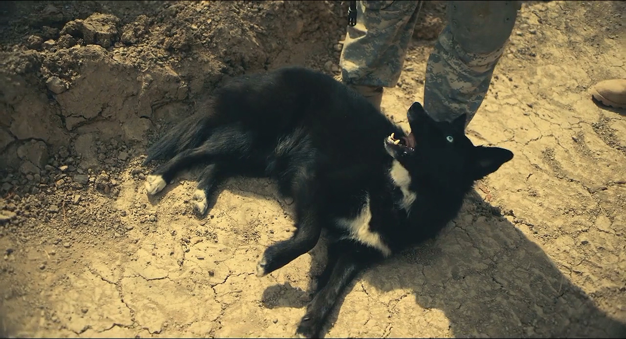 前哨剧照的剧照