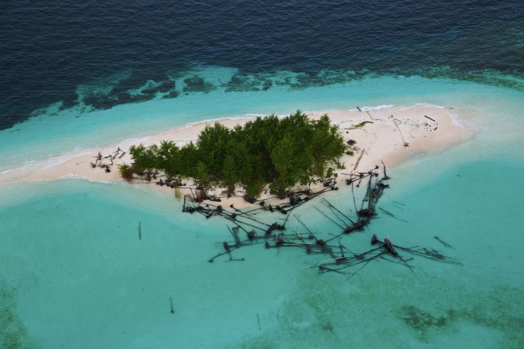 海洋星球剧照的剧照