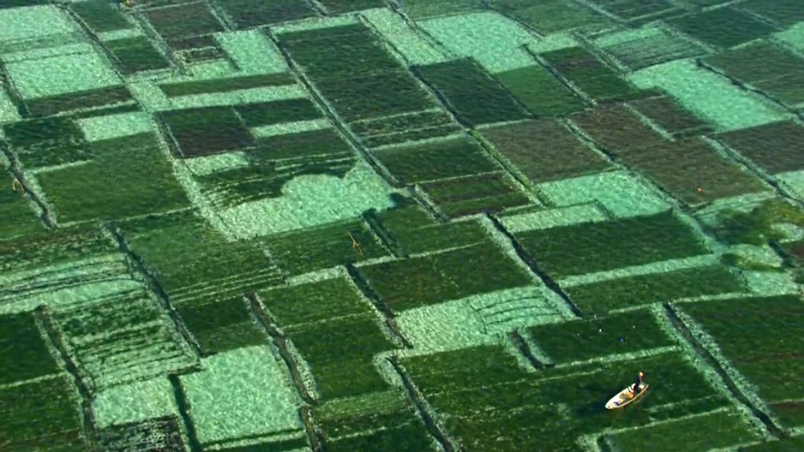 海洋星球剧照的剧照