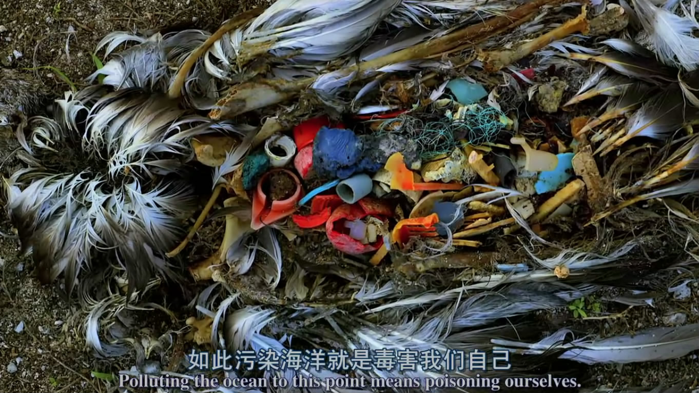 海洋星球剧照的剧照