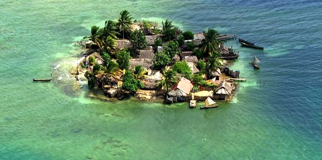 海洋星球剧照的剧照